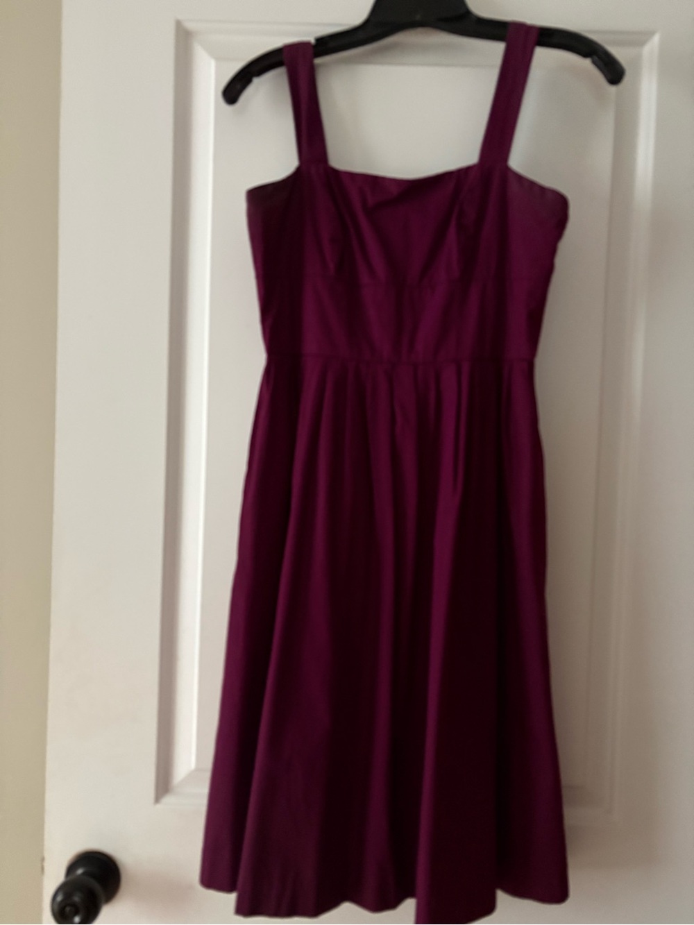 J. Crew Plum Sleeveless Fit & Flare Dress
